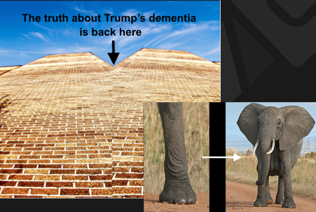 The greatest wall in the world is between the truth about Trump’s dementia and public awareness that it is getting worse, By Hal Brown, MSW
